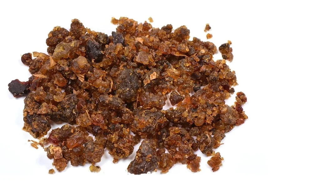 Guggul herb